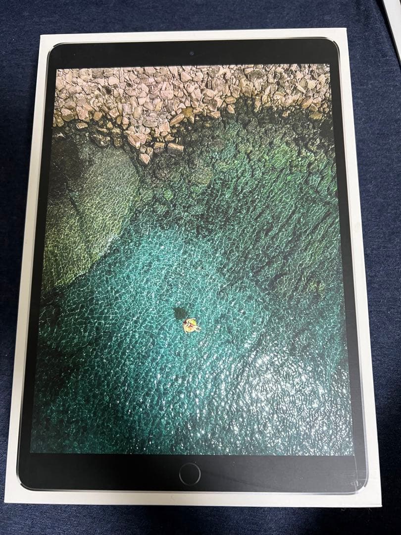 iPad Pro 10.5インチ 512GB Wi-Fi+セルラー SIMフリー