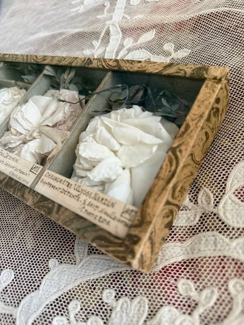 期間限定出品激レアフランスアンティーク布花サンプルガラスケース入り