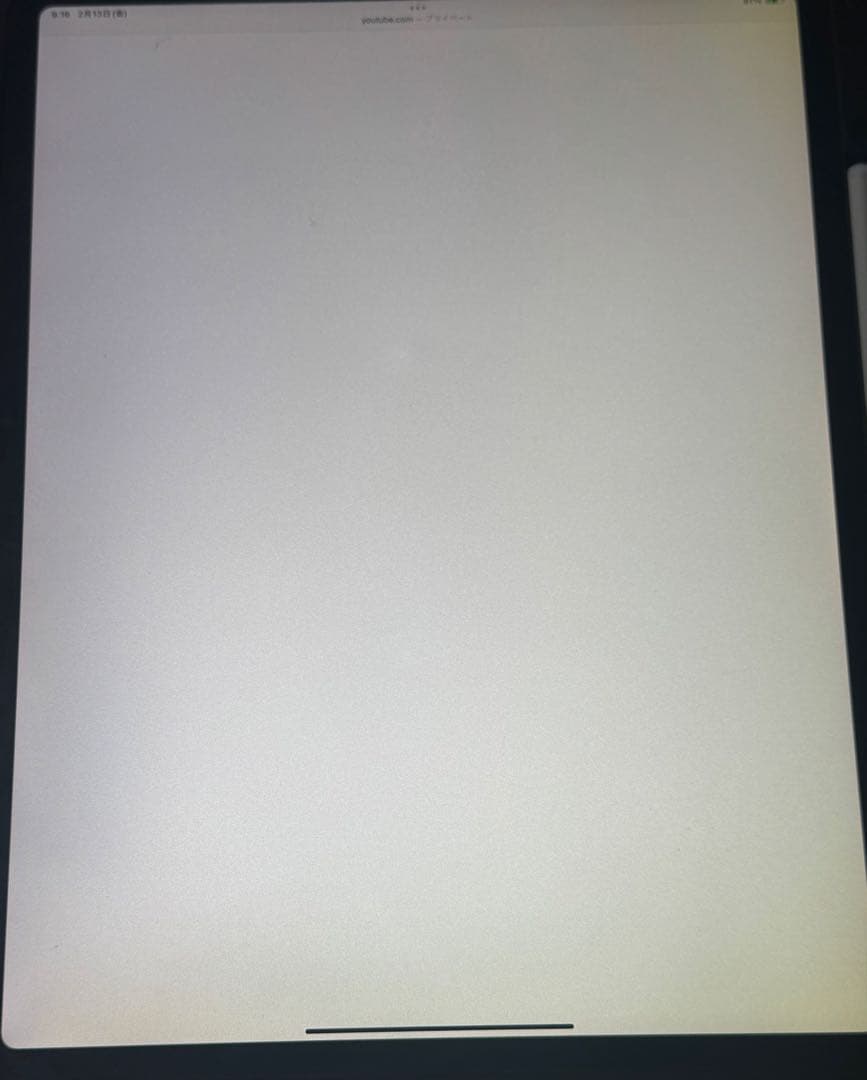 iPad Pro (12.9インチ) 第3世代1TB 本体　画面に黄ばみ