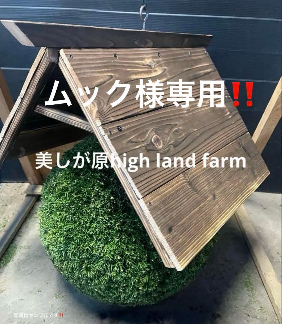 杉玉　約45センチ ワイヤーで‼️お客様ご注文品♪