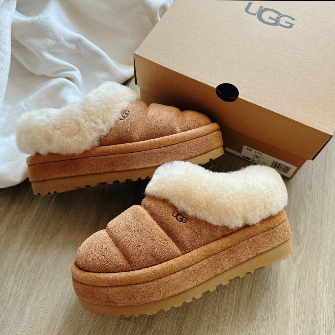 UGG アグ　Tazzlita　タズリータ チェスナット 25cm 厚底 新品