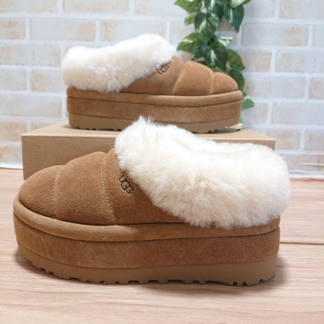 UGG アグ　Tazzlita　タズリータ チェスナット 25cm 厚底 新品