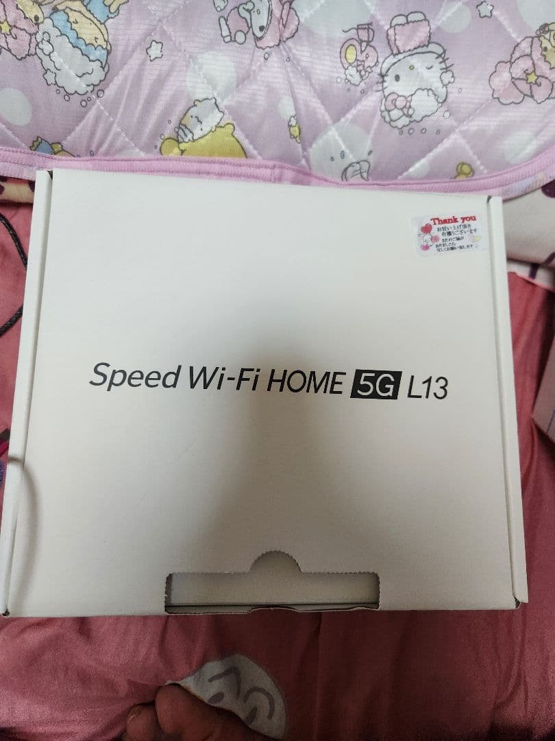 Speed Wi-Fi  5G L13 本体 未使用に近い