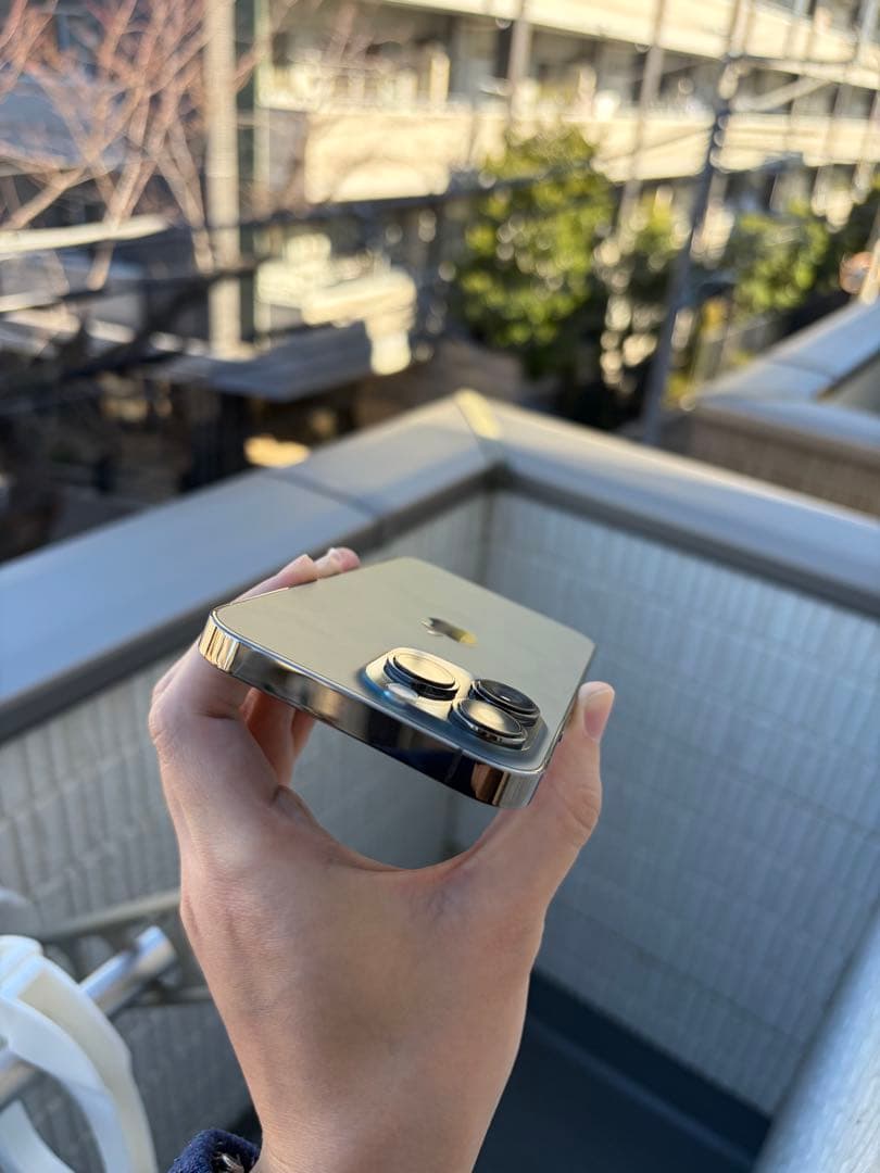 iPhone 13 Pro 256GB グラファイト SIMフリー