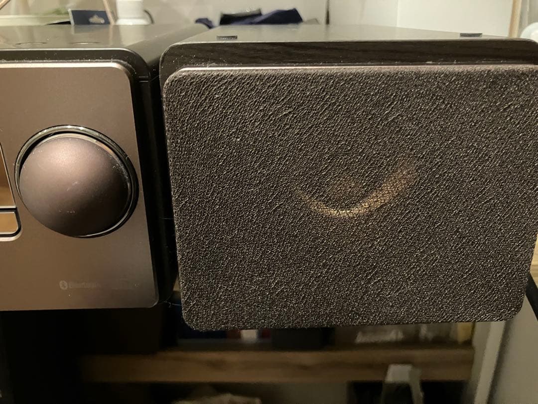 Victor JVCウッドコーンEX-S55 2019年製