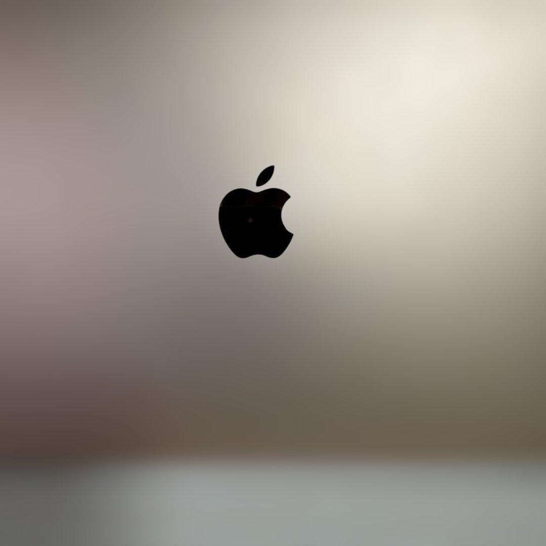 MacBook本体 Apple MacBook Air M1 8GB 256GB