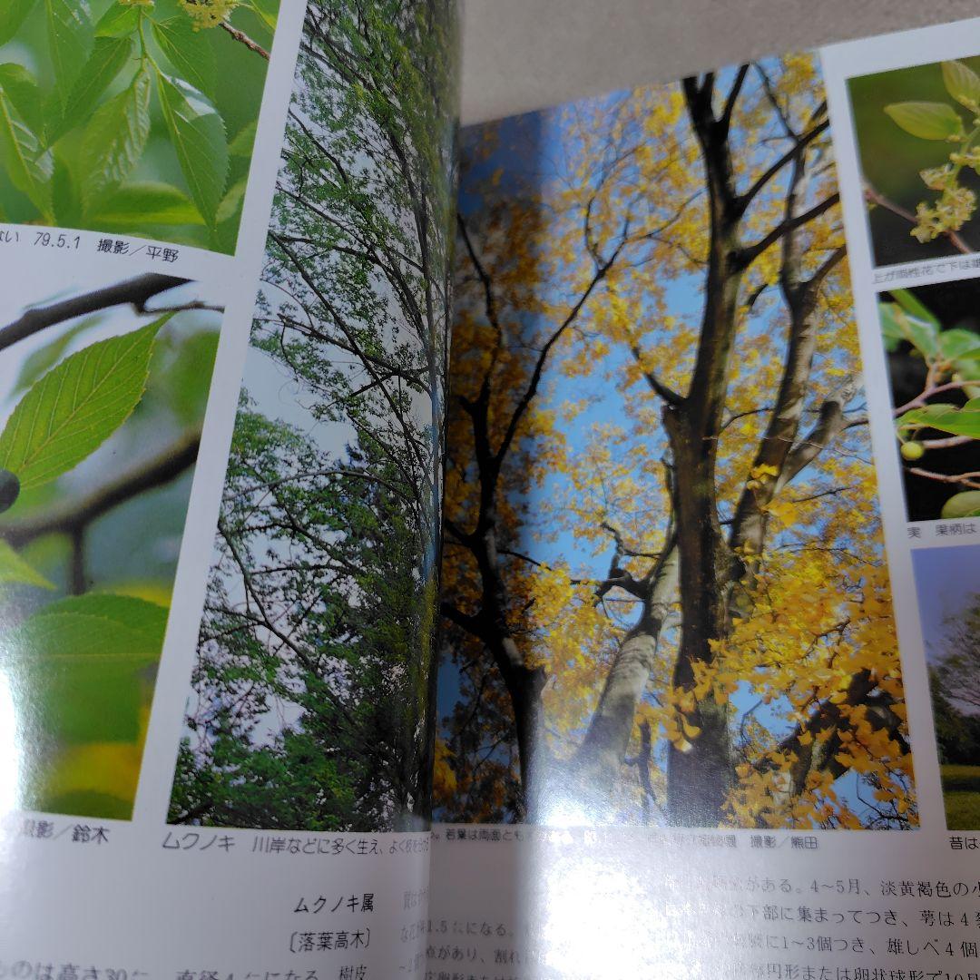 増補改訂新版　日本の樹木