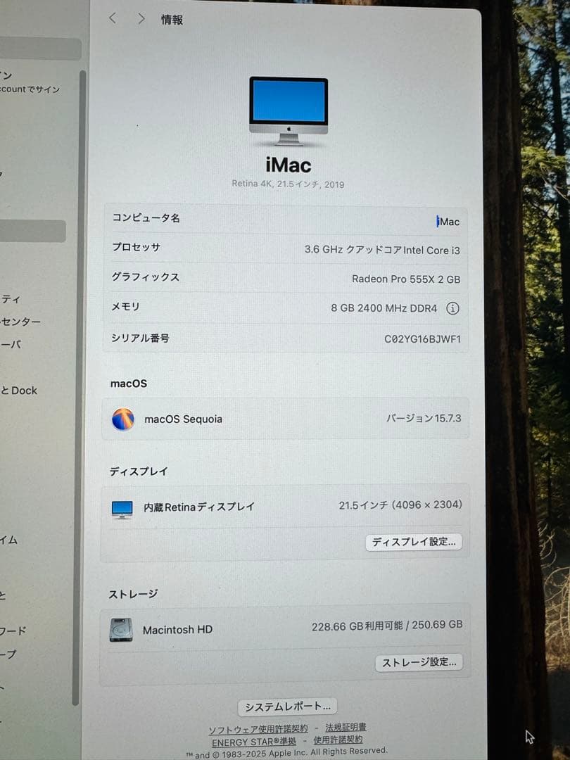 iMac (Retina 21.5-inch, 2019) 本体SSDモデル