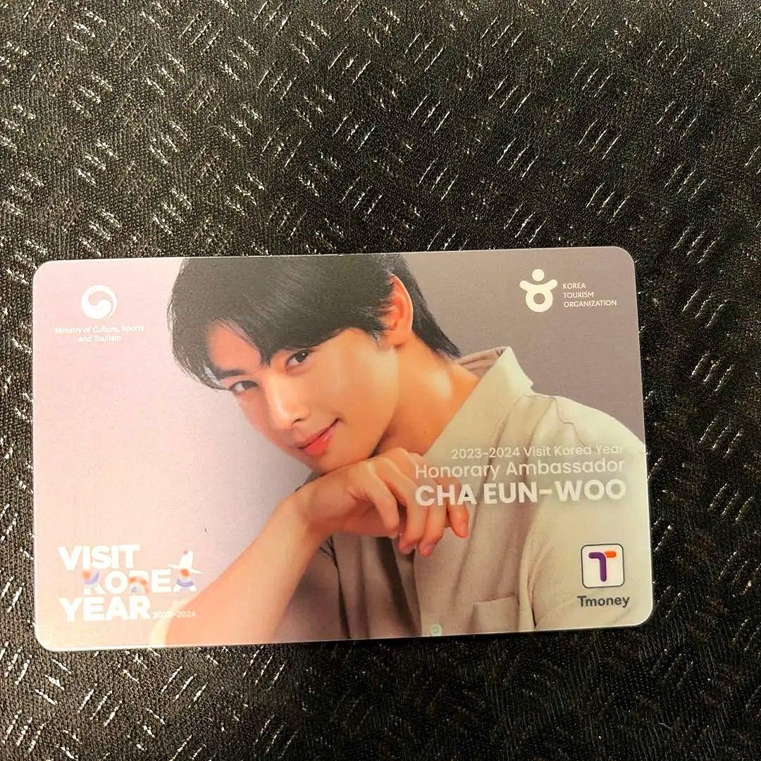 配布終了品 チャウヌ 非売品 Tmoneyカード