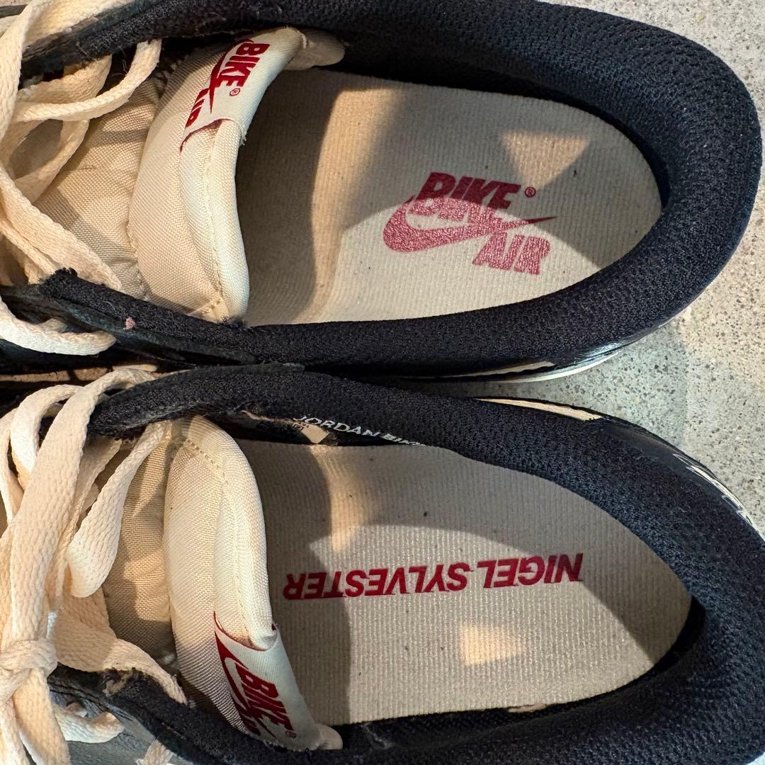 靴 NigelSylvester Nike AirJordan1