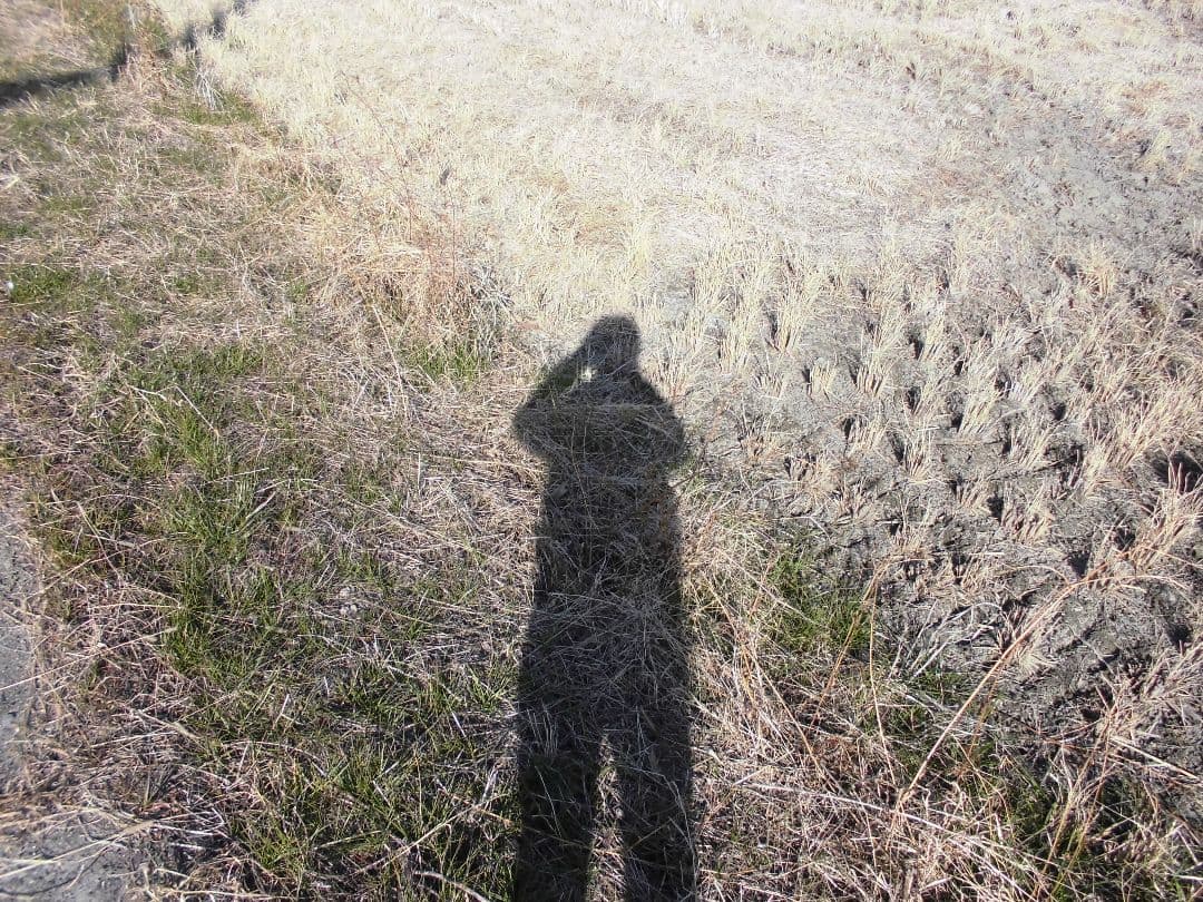 CASIO EXILIM EX-Z690 コンパクト デジタルカメラ デジカメ