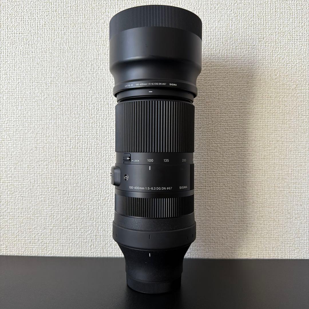 SIGMA 100-400mm F5-6.3 DG DN OS SONY α E