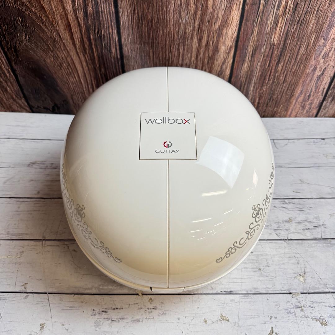 GUITAY wellbox ウェルボックス 家庭用エンダモロジー 美容器