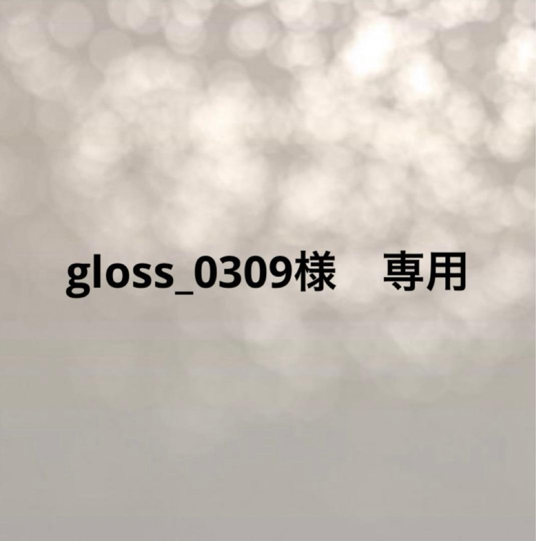 gloss_0309