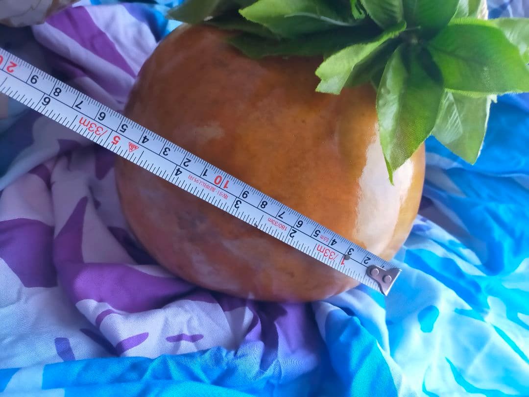 イプ ・ケース付き（おまけ）