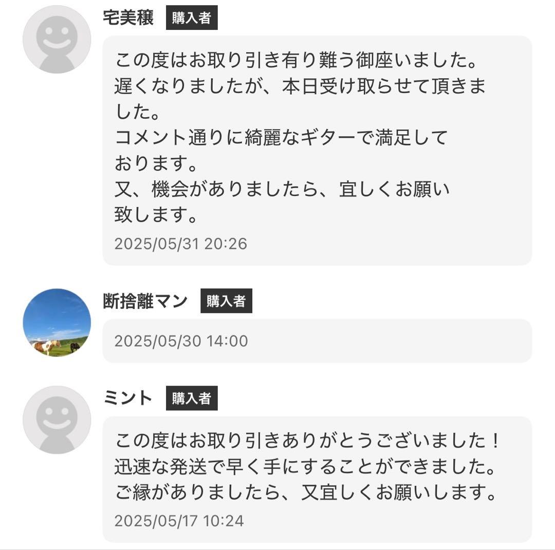 【極美品】Morris アコースティックギター ブラウン MD-256TS