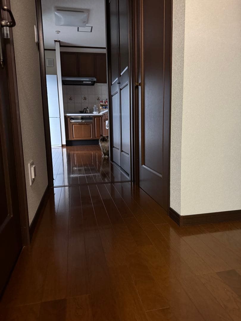 Eureka Dust 80 ロボット掃除機 グレー 70％offになっている❗️