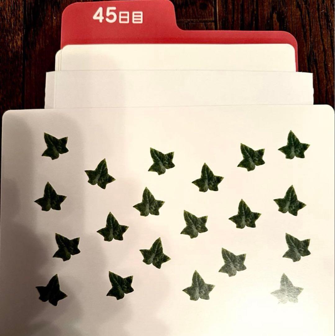 七田式 ドッツセット　1日目〜35日目&36日目〜63日目