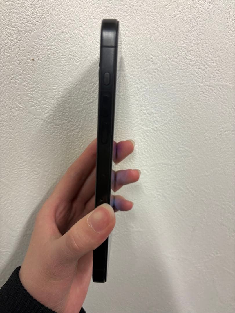 美品) Apple iPhone 15プロマックス