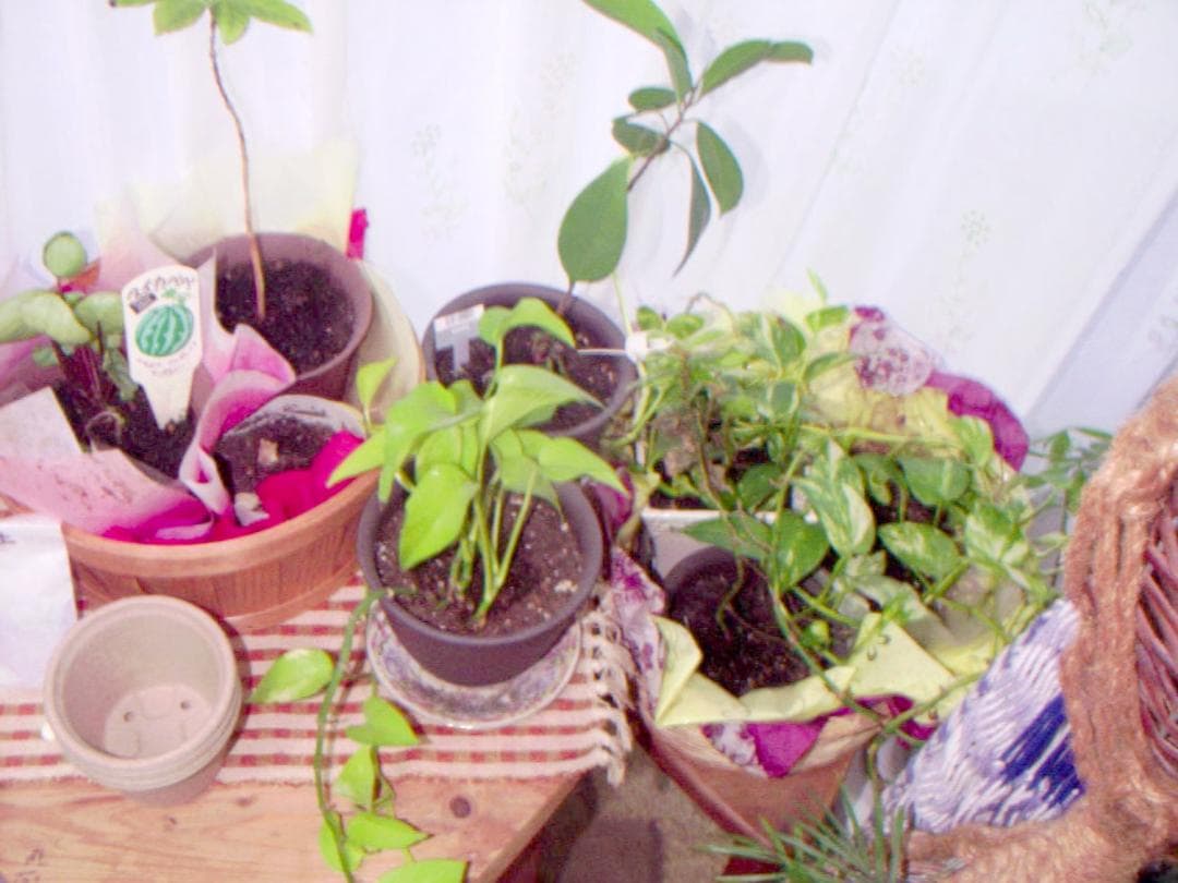 超激レア　撮影画像あり 動作OK　Kodak　DC120 ZOOM　単3電池仕様