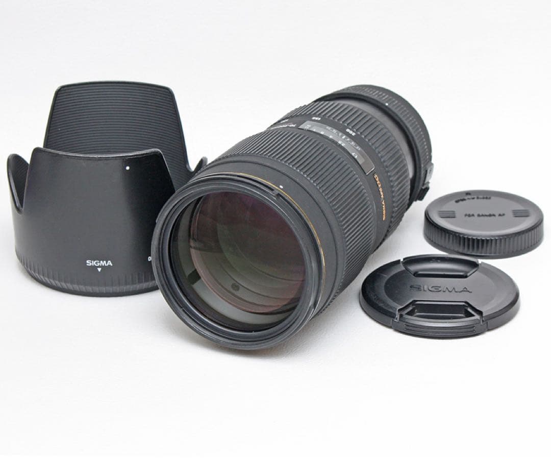 SIGMA⭐️APO 70-200mm F2.8⭐️キヤノン用⭐️Canon⭐️シグマ