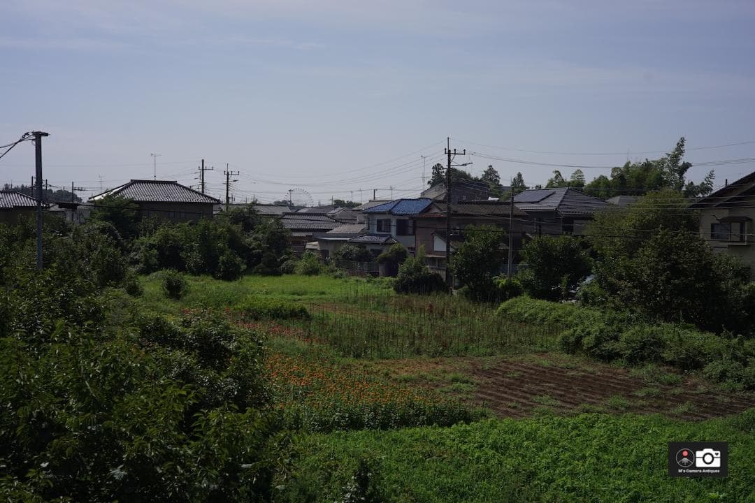 Canon 50mm F/1.8 I ライカＬ３９レンズ整備済