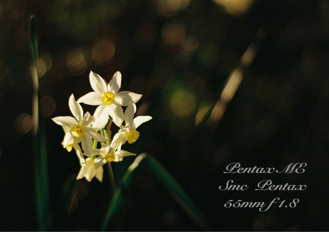 フィルム入門に！完動品＊超美品★pentax me★初期保証付★作例多数！