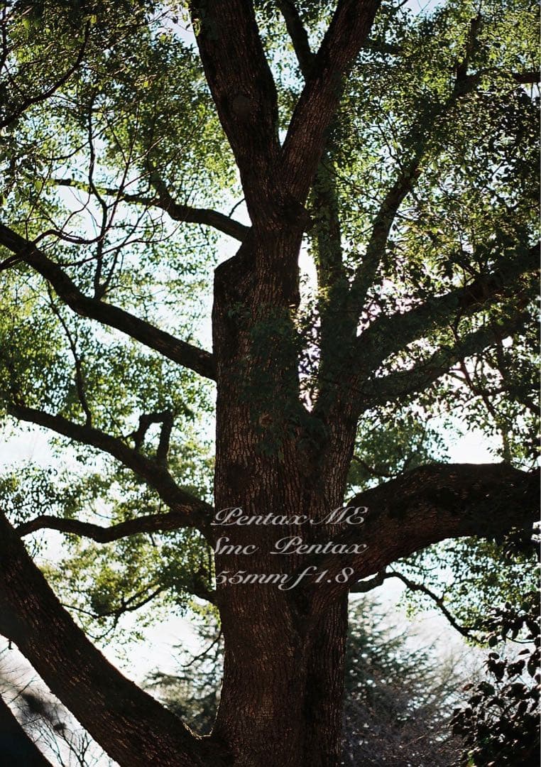 フィルム入門に！完動品＊超美品★pentax me★初期保証付★作例多数！