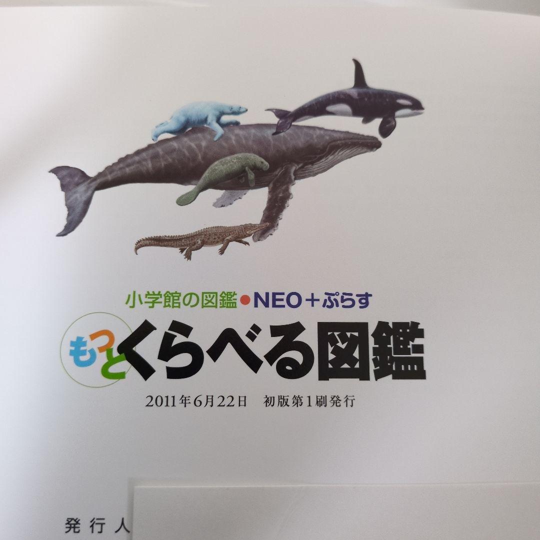 【15冊セット】小学館の図鑑NEO　まとめ売り DVD無し小学校の図鑑ネオ