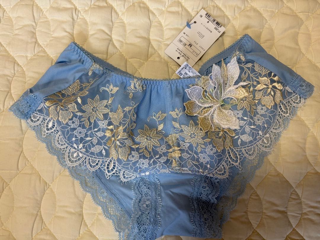 Salute E70.M ブラジャーショーツセット