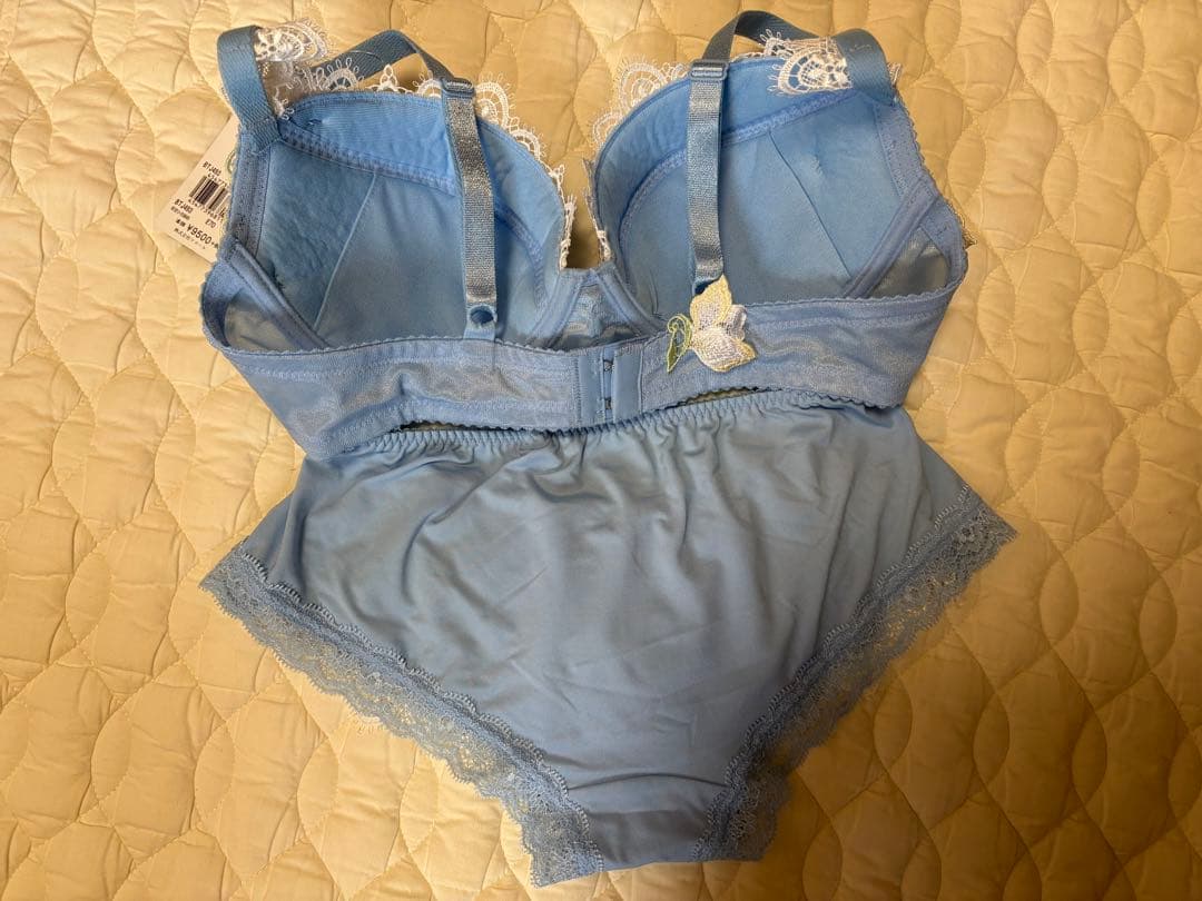 Salute E70.M ブラジャーショーツセット