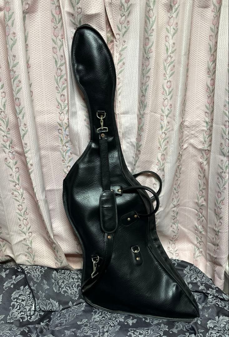 ハ*ー様 killer エレキギター　ケース