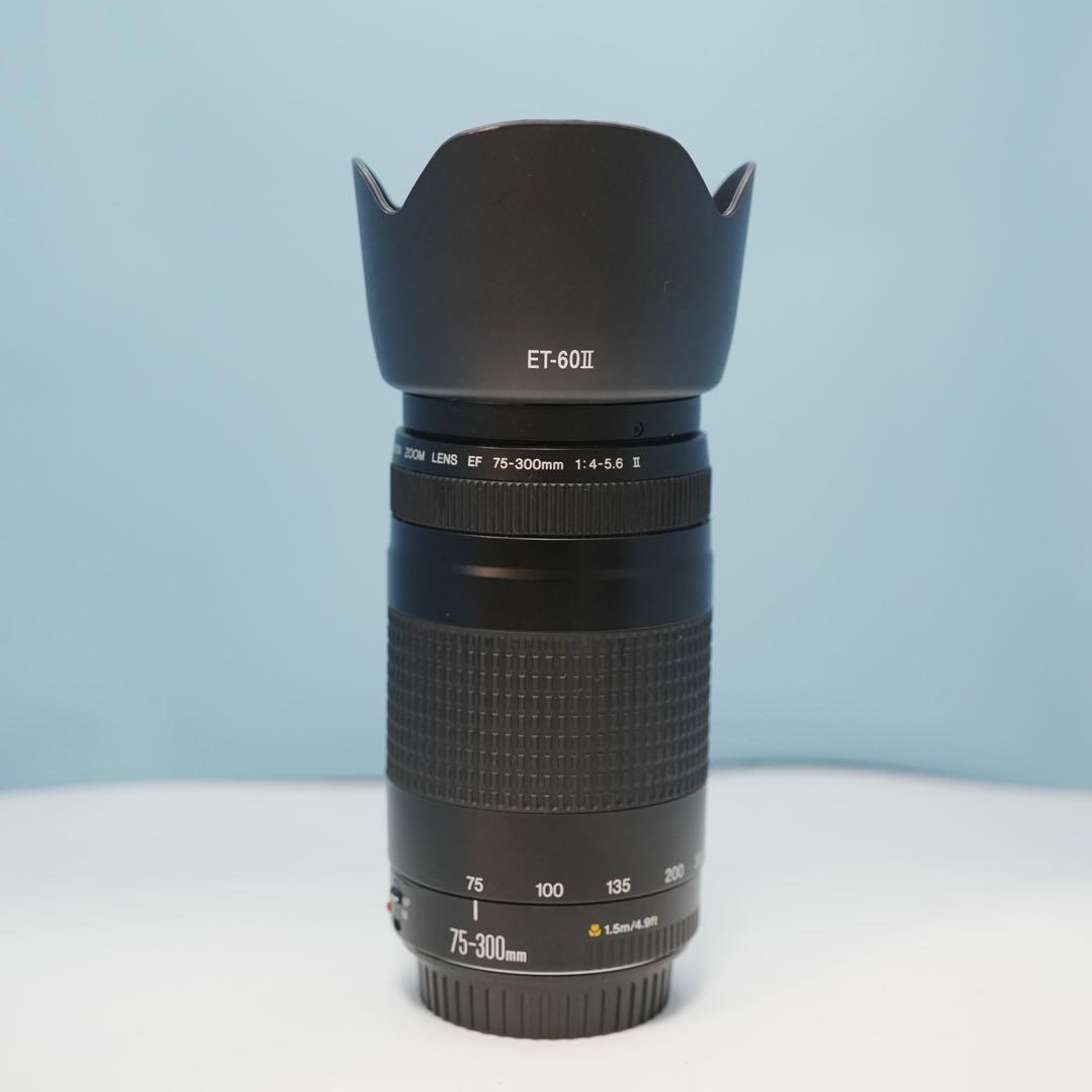 Canon純正 75-300mm 望遠レンズ 美品 a4452