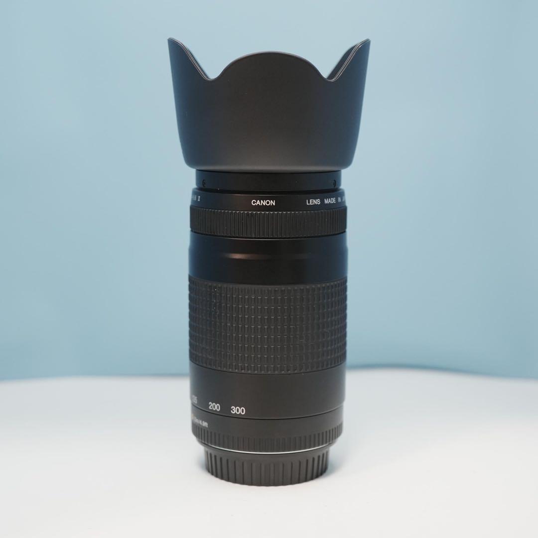 Canon純正 75-300mm 望遠レンズ 美品 a4452