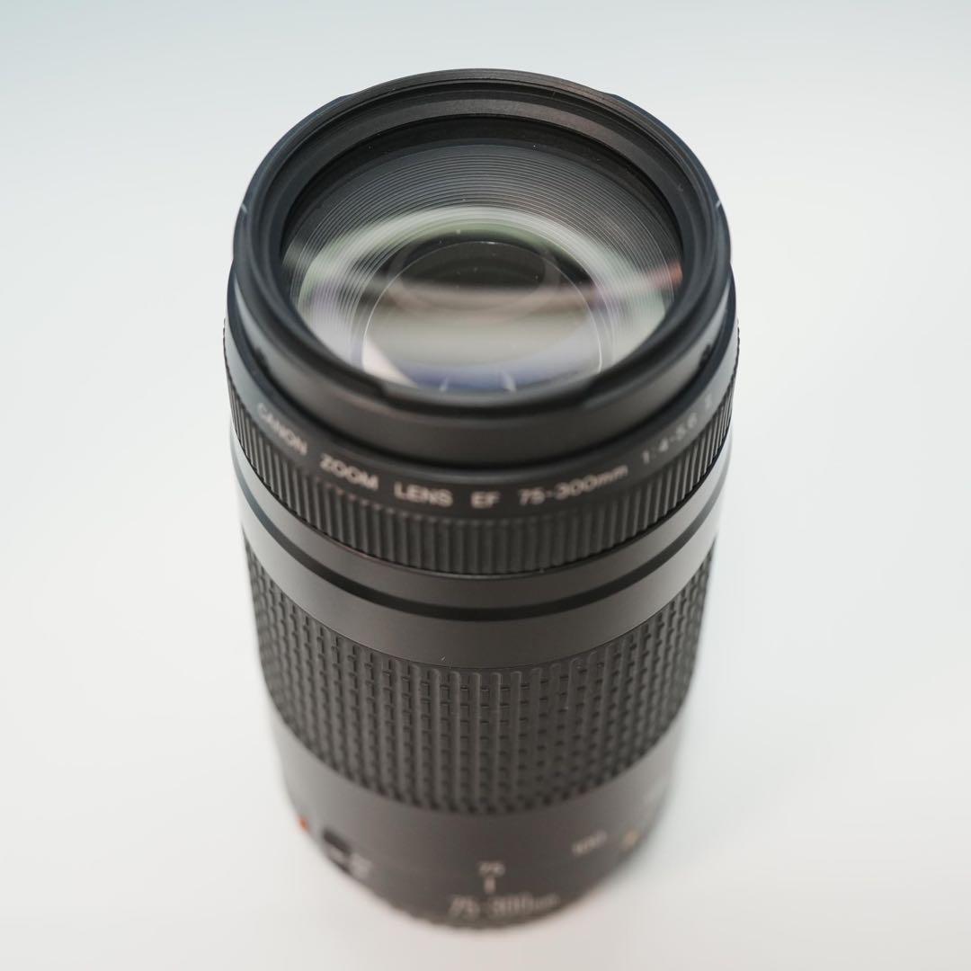 Canon純正 75-300mm 望遠レンズ 美品 a4452