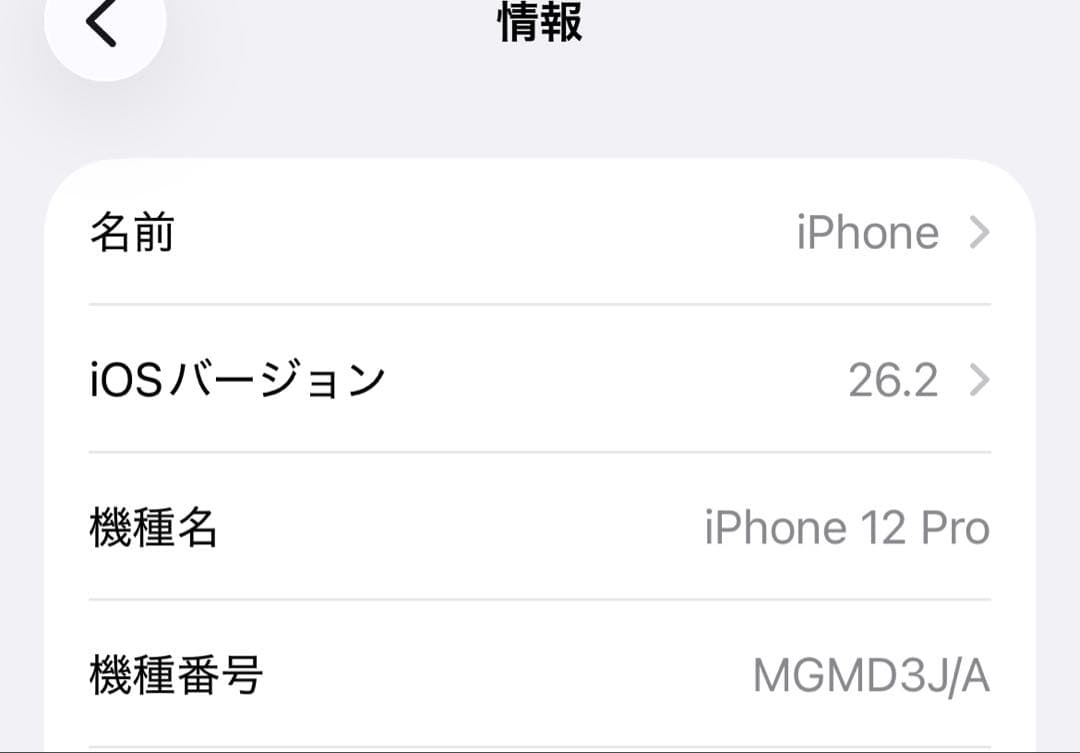 iPhone 12 pro 本体　パシフィックブルー　256GB