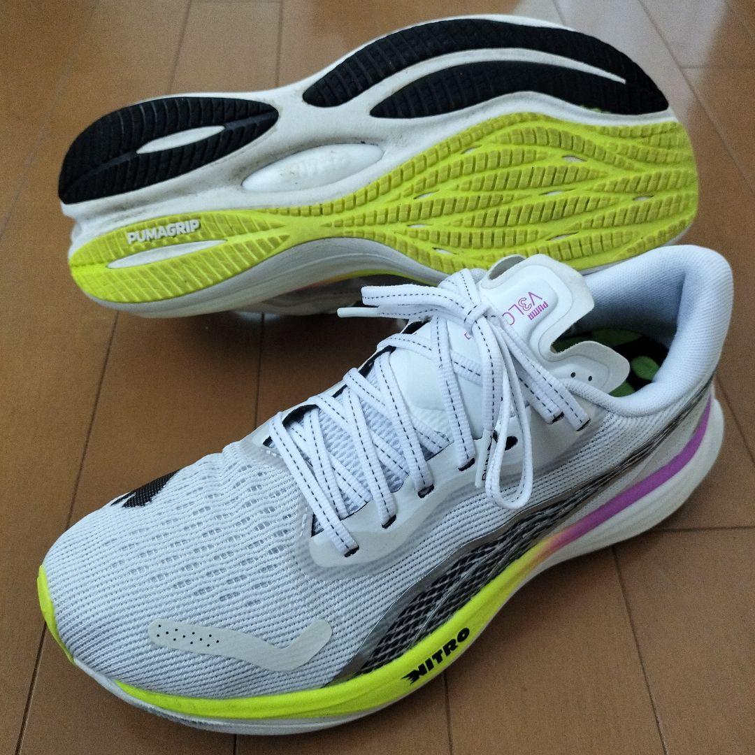 porsluck　3足セット