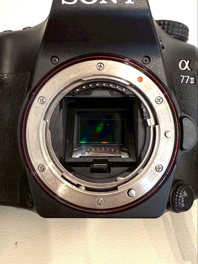 SONY ミラーレス一眼a77Ⅱ　レンズ二本ケース付き　美品06