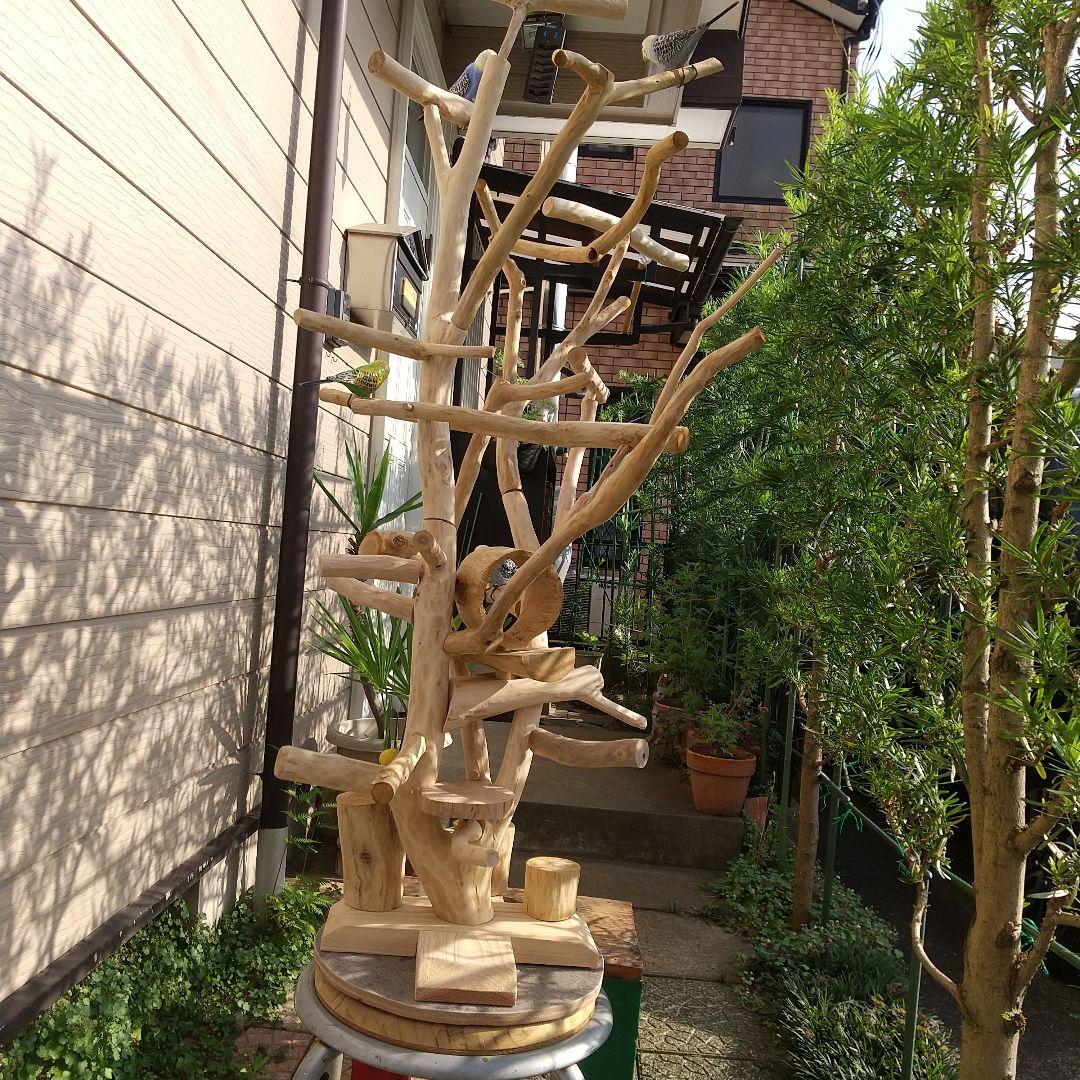 小鳥の楽園バードアスレチックツリージム②