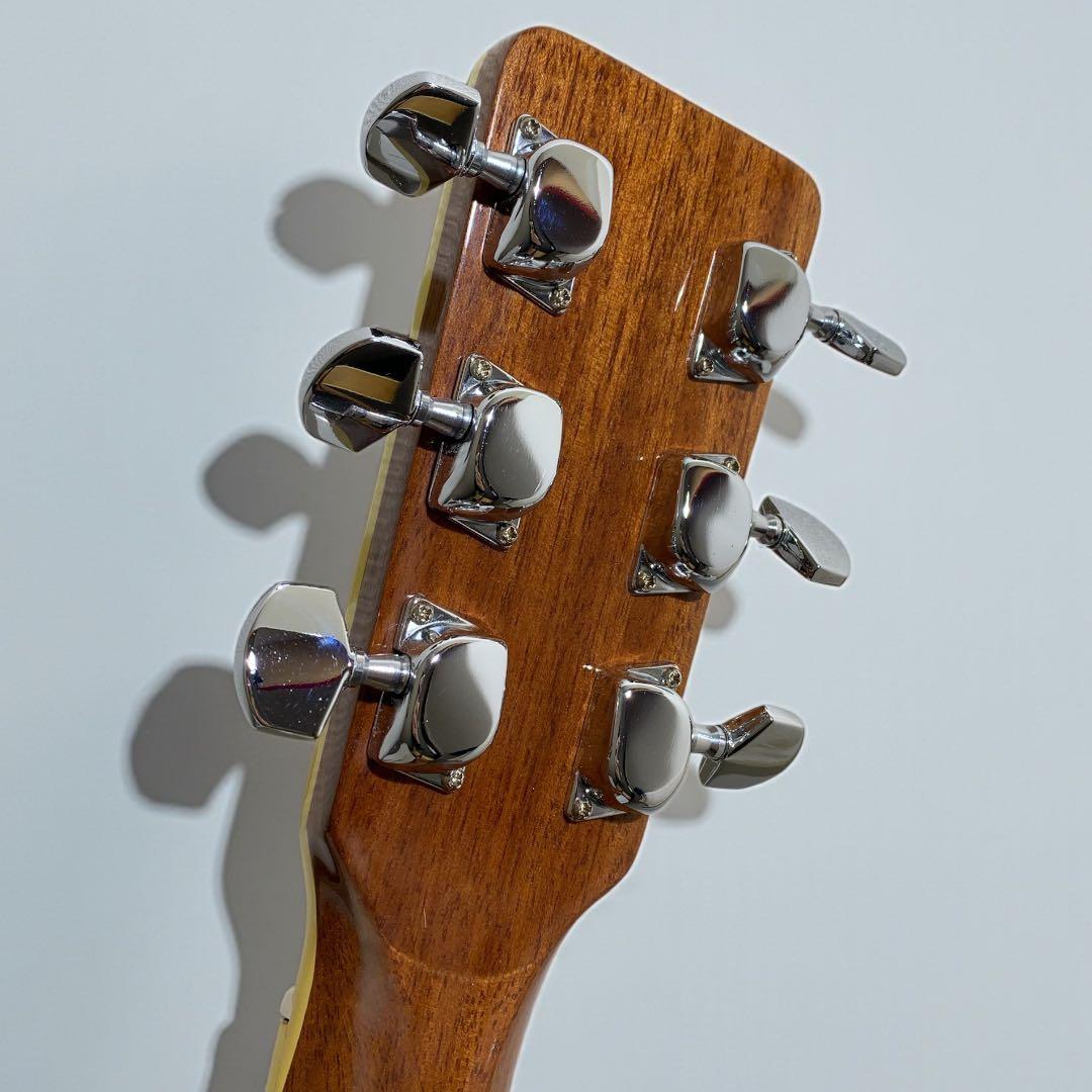 SPLENDOR スプレンダー 国産ドレッド 美品 杢メイプル