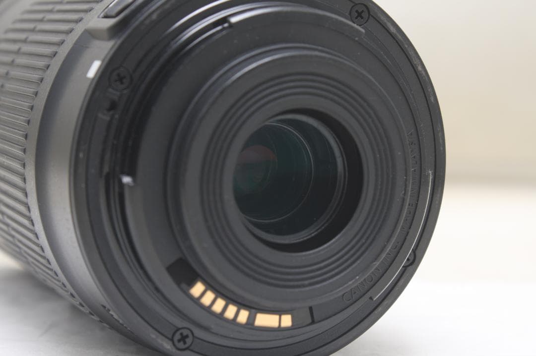 キヤノン EF-S 55-250mm F4-5.6 IS STM 0347