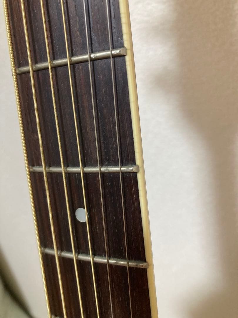Ovation Celebrity CP741 パーラーギター グリーン
