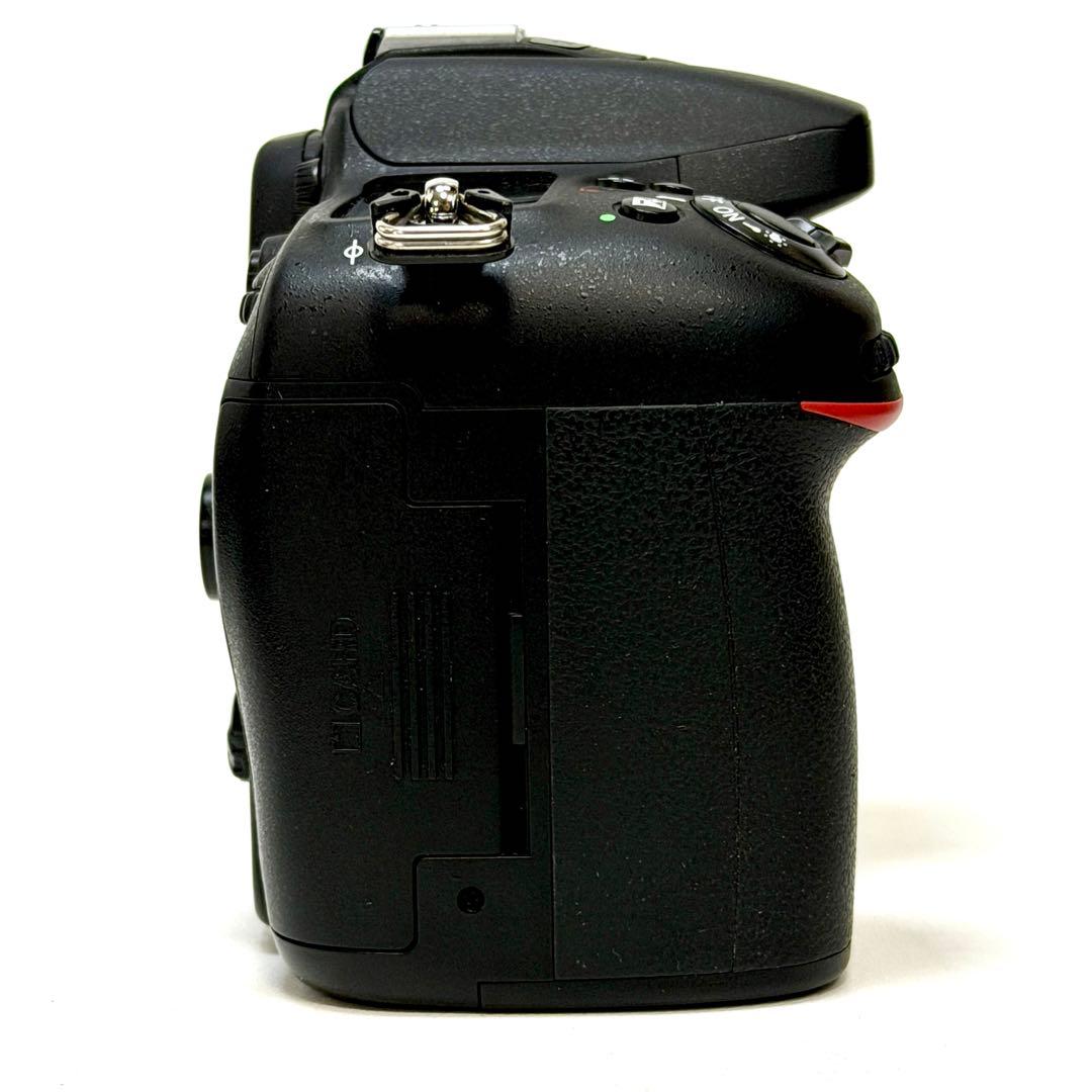 ニコン D7100 + シグマ18-300mm F3.5-6.3 レンズ付