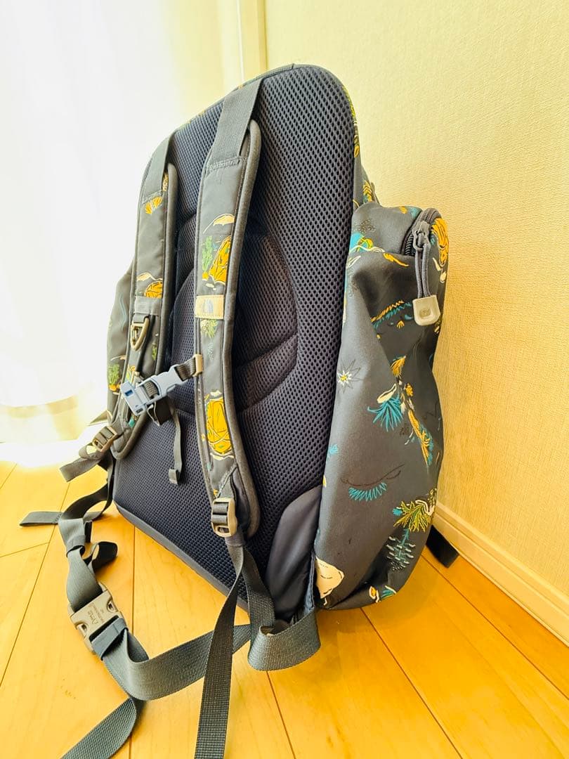 ノースフェイス THE NORTH FACE サニーキャンパー40＋6（キッズ）
