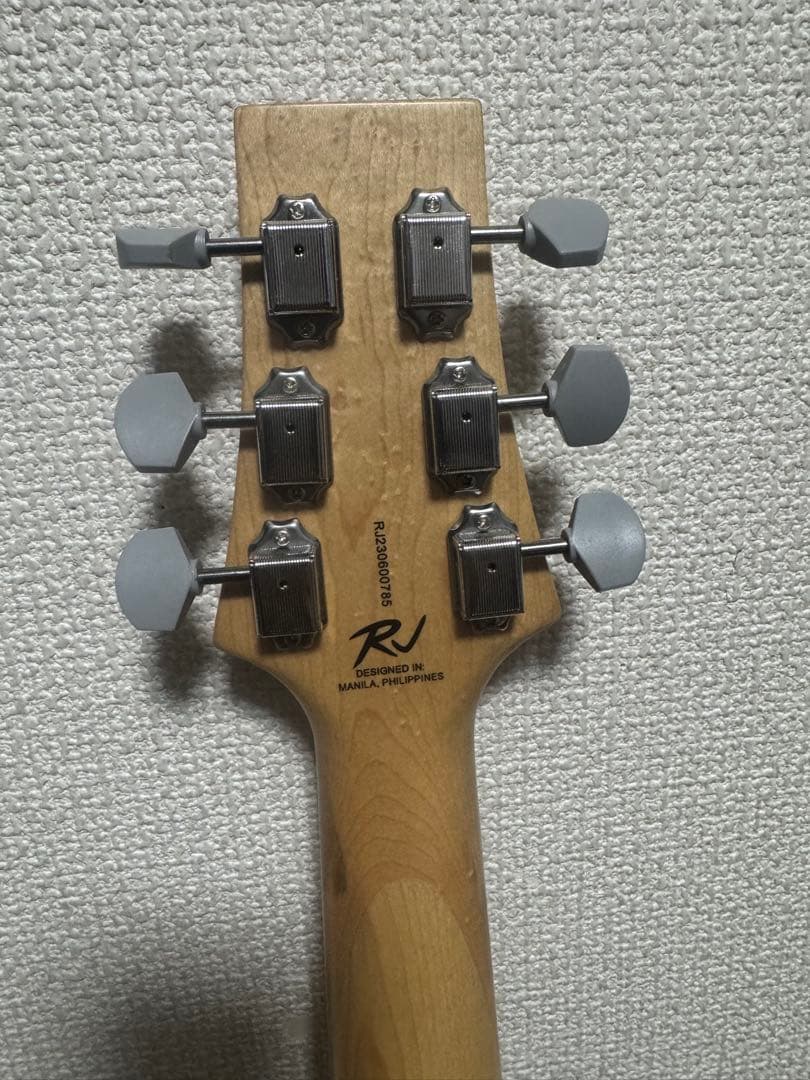 ギター RJ Vibecaster Professional