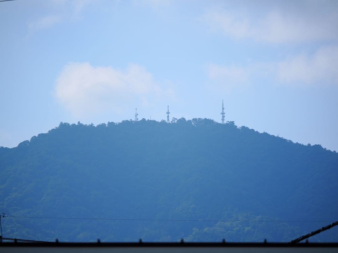 紫*花様 Panasonic LEICA DG VARIO-ELMAR 100-