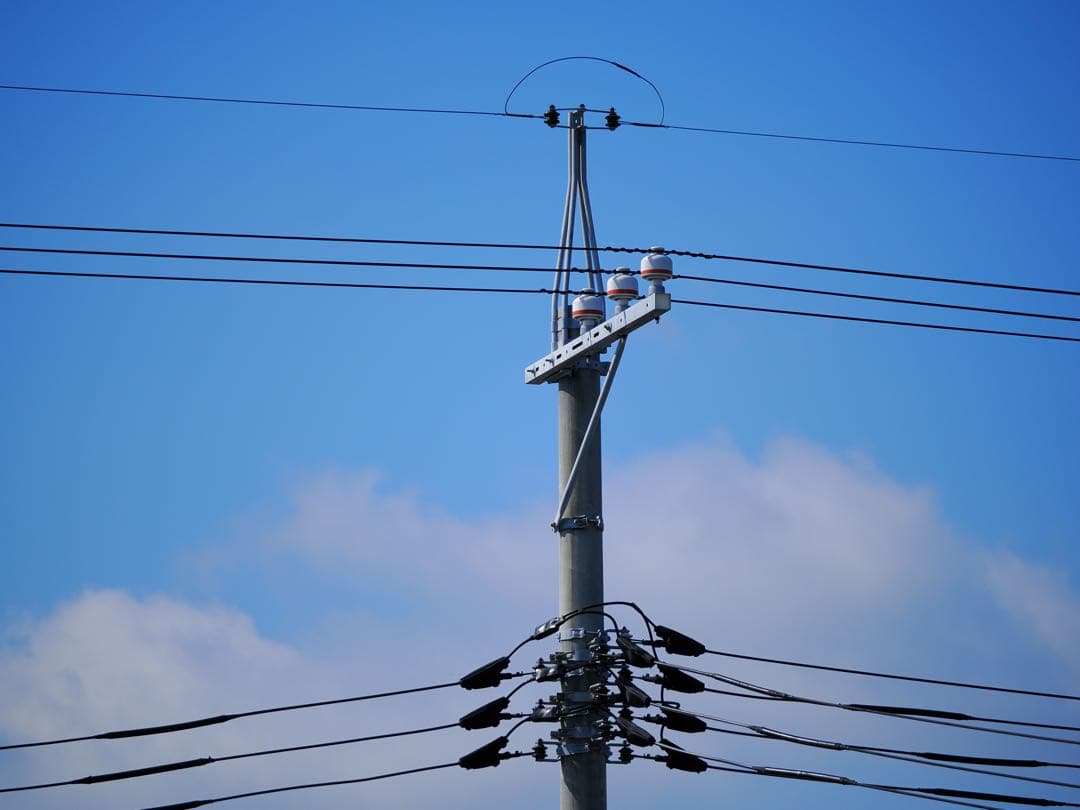 紫*花様 Panasonic LEICA DG VARIO-ELMAR 100-
