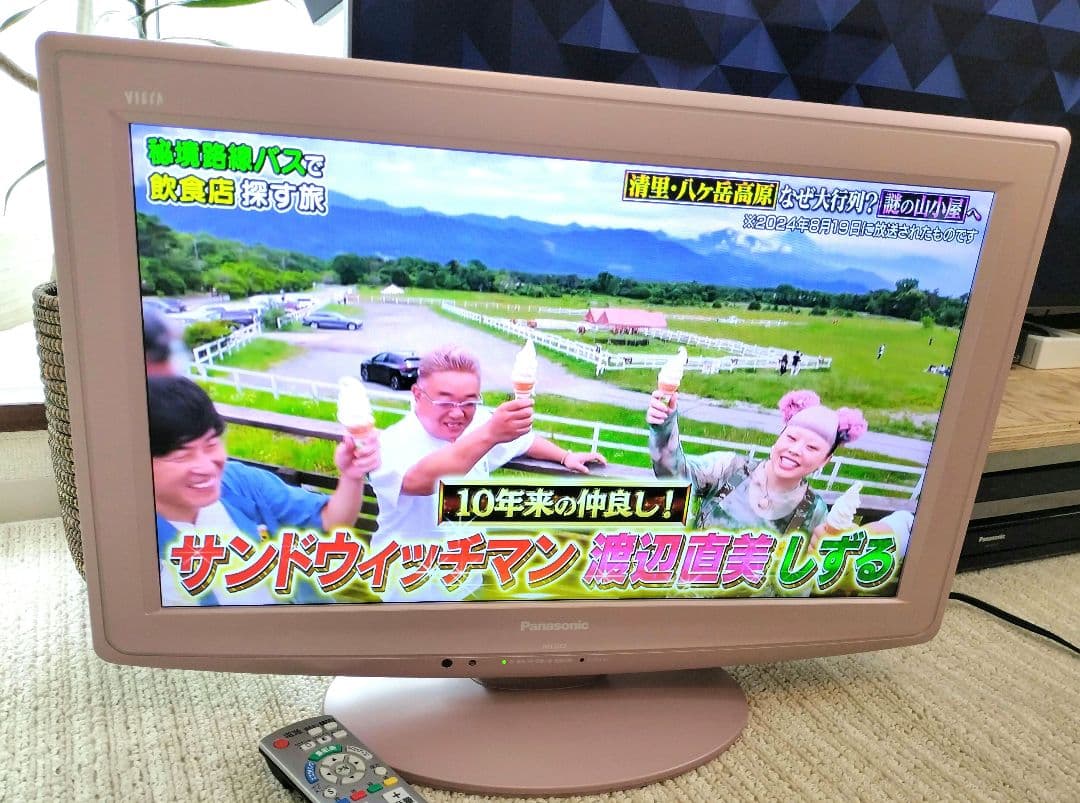 希少カラー 美品 パナソニック VIERA 22型 TH-L22C2 ピンク