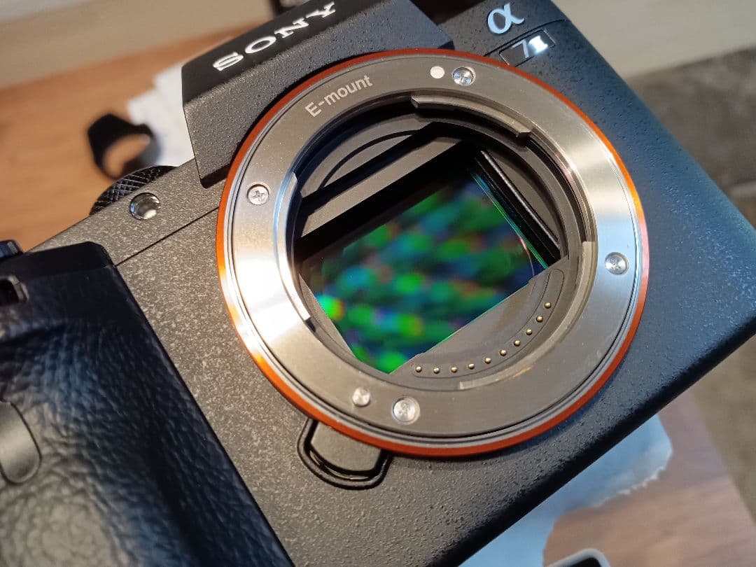 S数：1,484回【センサー清掃済】SONY α7II レンズKit【取説付き】