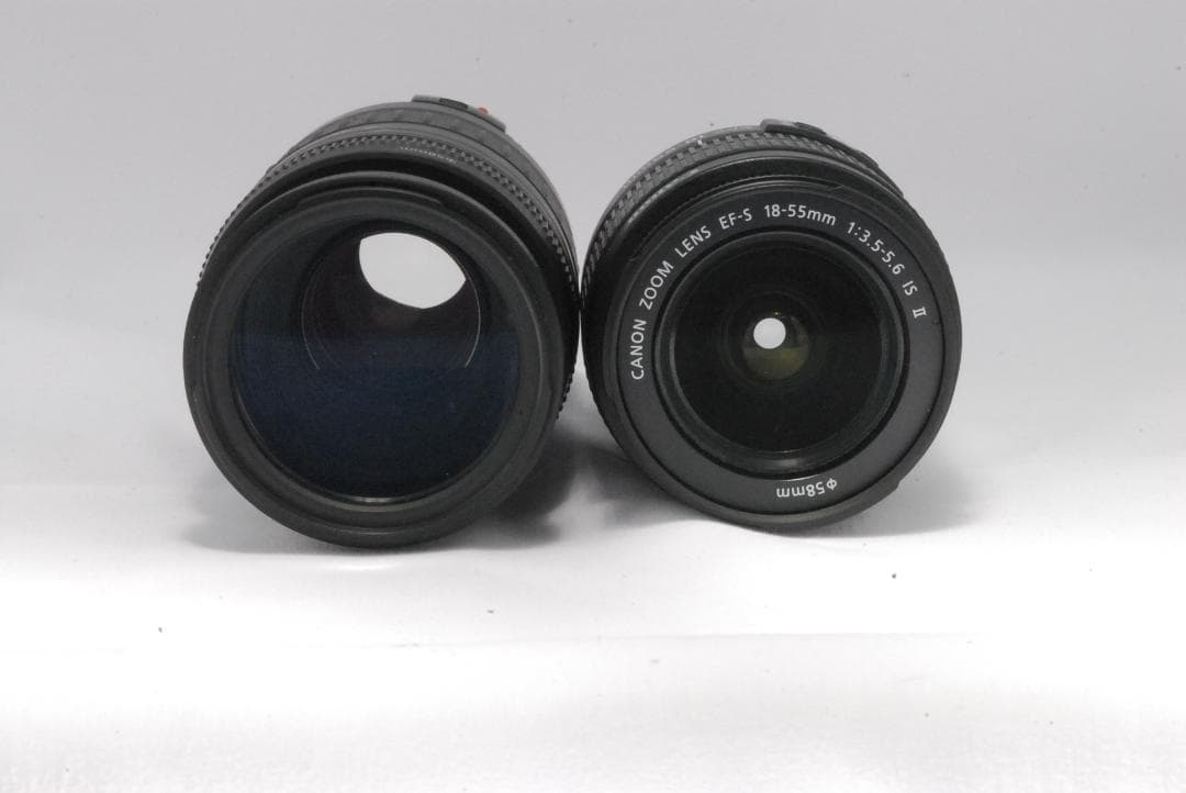 Canon kiss x4 ダブルレンズセット 遊び心満載 初心者セット